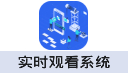 实时观看系统