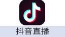 抖音抖币充值(抖音钻石)
