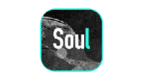 Soul Coins