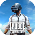 PUBG（土耳其）