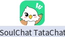 SoulChat / TataChat（中东北非）