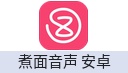 煮面音声 安卓