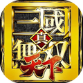 真・三国无双 天下