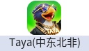 Taya（中东北非）
