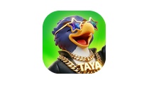 Taya（MENA）